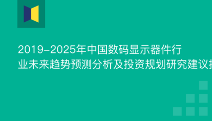 2019-2025年中国数码显示器件未来趋势预测分析及投资规划研究建议报告